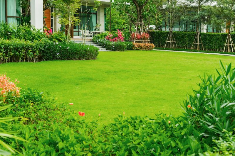 Lawn Replacement