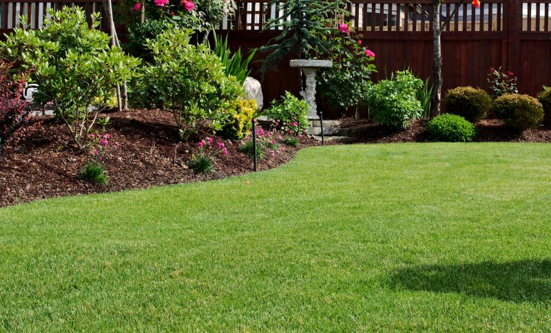Lawn Replacement