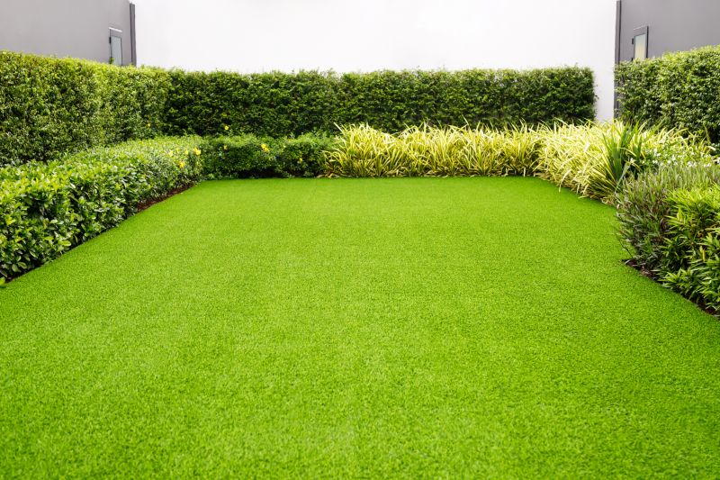 Lawn Replacement