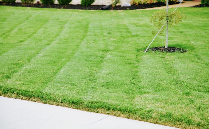 Bentgrass Sod Installation in Ventura County, CA