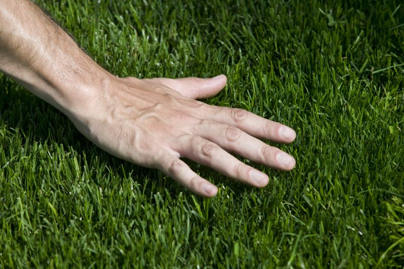 Lawn Installation in Ventura County, CA