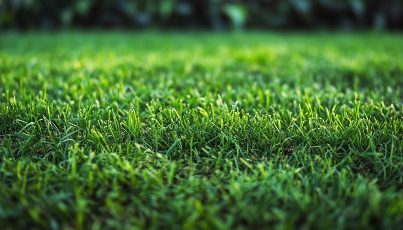 Lawn Installation in Aiken, SC