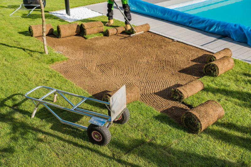 Lawn Replacement