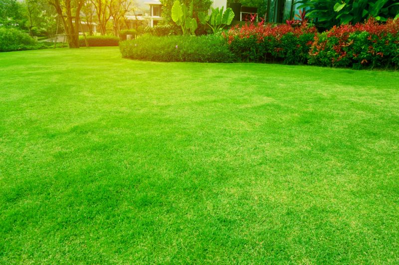 Lawn Replacement