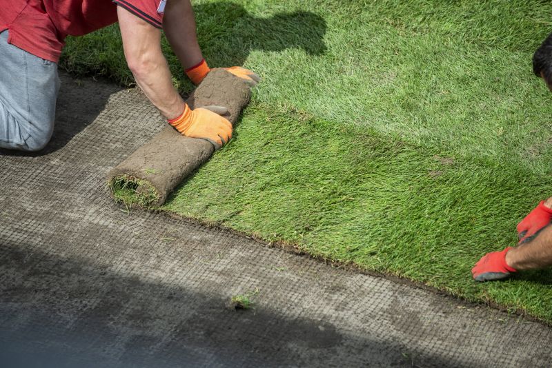 Lawn Replacement Process