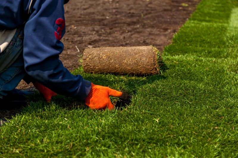 Sod Laying in Progress