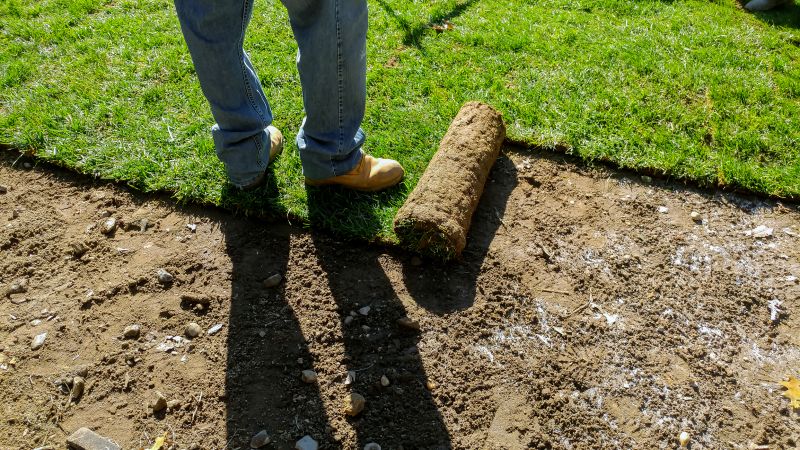 Sod Installation Process