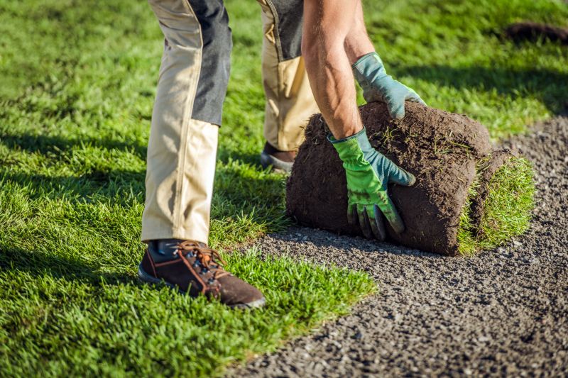 Experienced Sod Installer