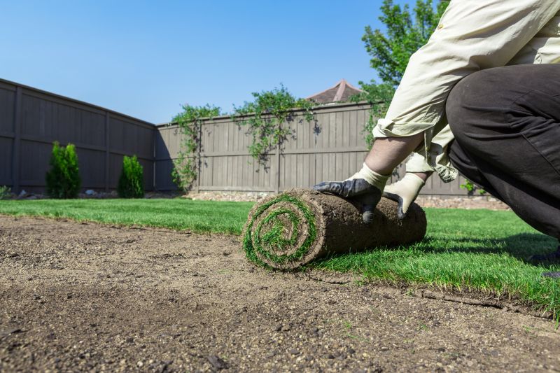 Sod Installation in Aiken, SC