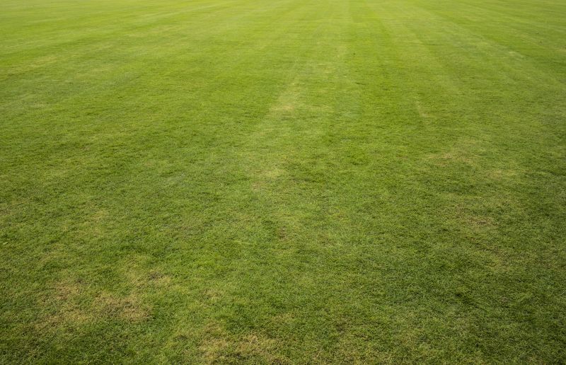 Sod Landscaping in Rockwall, TX