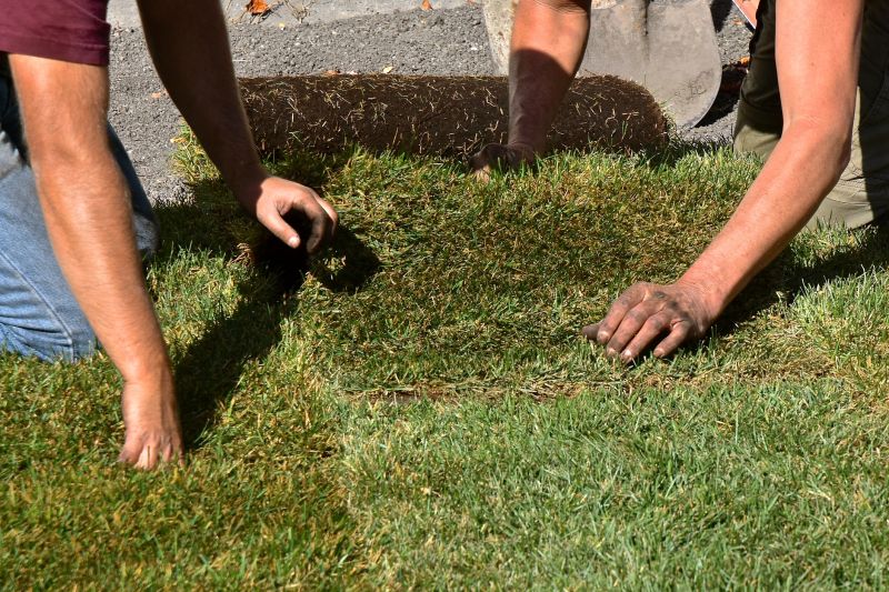 Lawn Installation Specialists