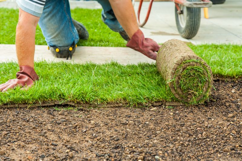 Sod Suppliers and Installers