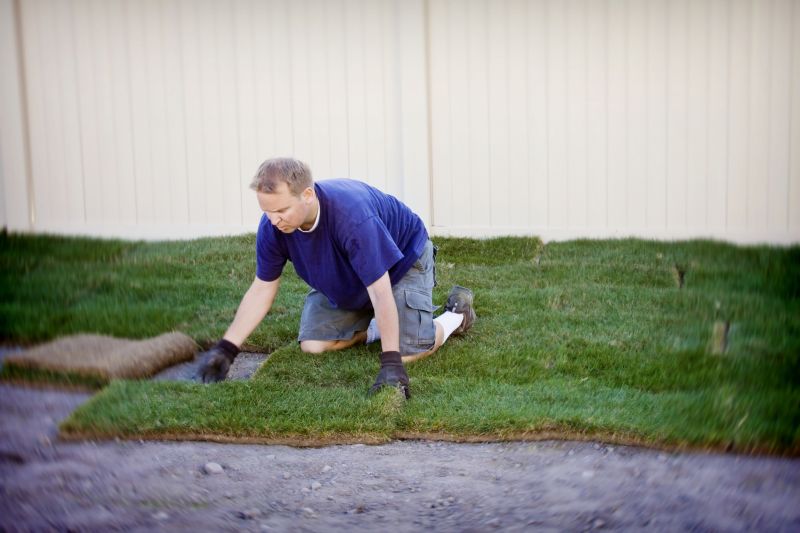 Yard Sod Replacement in Rockwall, TX
