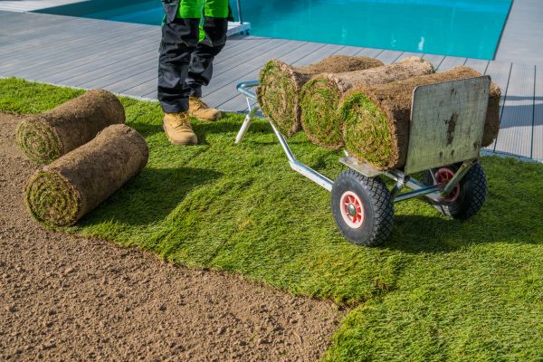 Centipede Sod Installation